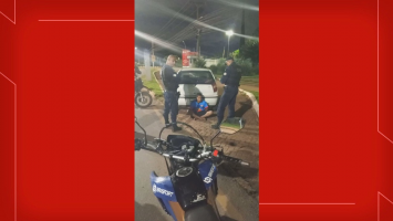 Homens furtam gansos no Parque da Cidade, em Brasília, e são presos