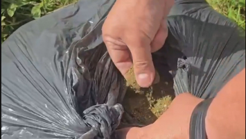 Garis encontram 30 kg de maconha em saco de lixo no DF; polícia apura se descarte foi para evitar flagrante